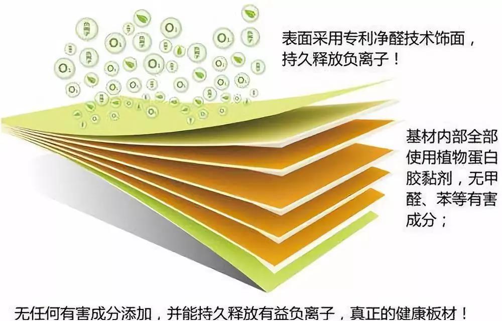 濃情端午,粽葉飄香 環(huán)保生活，健康你我