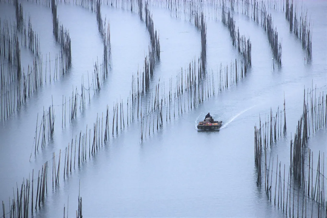冬至|建始也，冬來(lái)也|